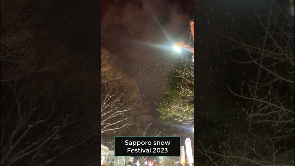 I gaze in awe at the sky as the snow drops