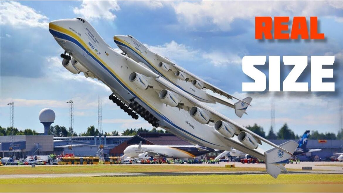 REAL Size of These Aircraft Will SHOCK YOU REAL Size of These Aircraft Will SHOCK YOU