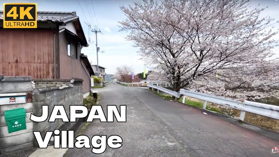 4K JAPAN WALK – Walk Around Japanese Village in Cherry Blossom Season 2023 – Japan Walk TV 4K JAPAN WALK - Walk Around Japanese Village in Cherry Blossom Season 2023 - Japan Walk TV