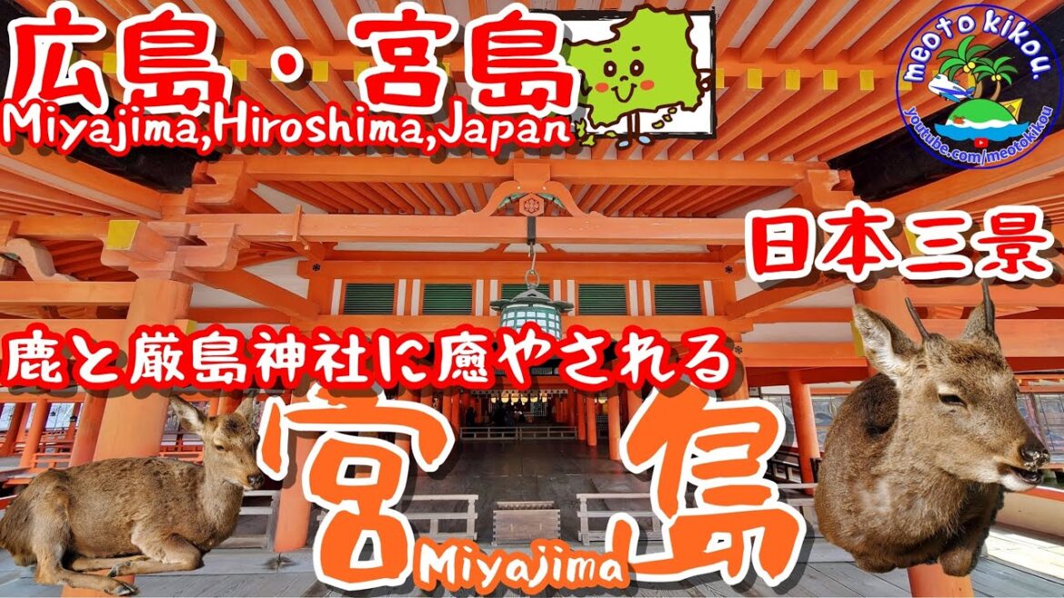 日本三景宮島観光🍁鹿と厳島神社に癒される旅🦌広島県宮島！