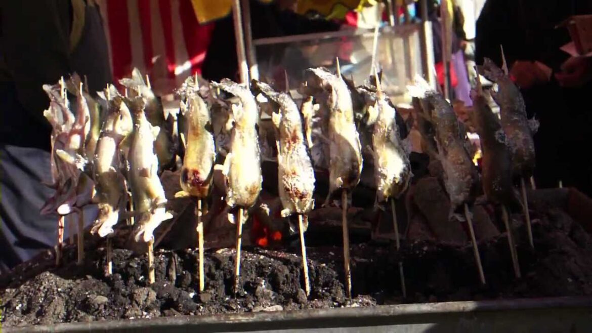 Tokyo Trip - Kitsuney X Elchikito - Is This a blue Chocolate Banana ?