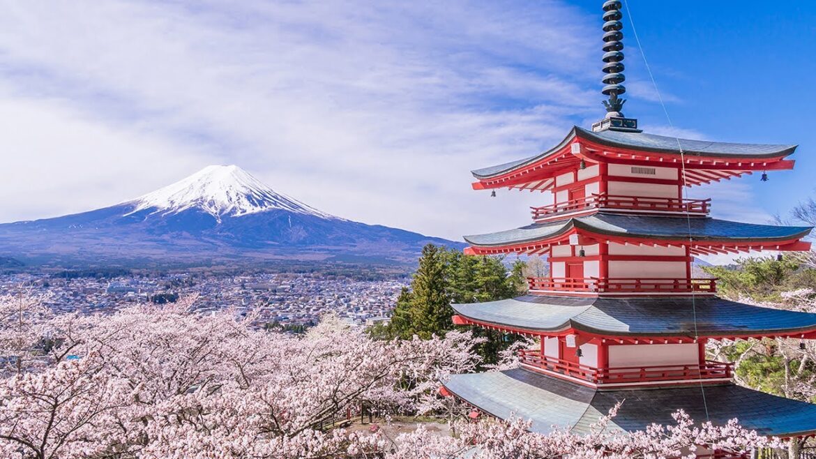 Mt.Fuji & Cherry Blossom at Arakurayama Sengen Park 1day Tour Mt.Fuji & Cherry Blossom at Arakurayama Sengen Park 1day Tour