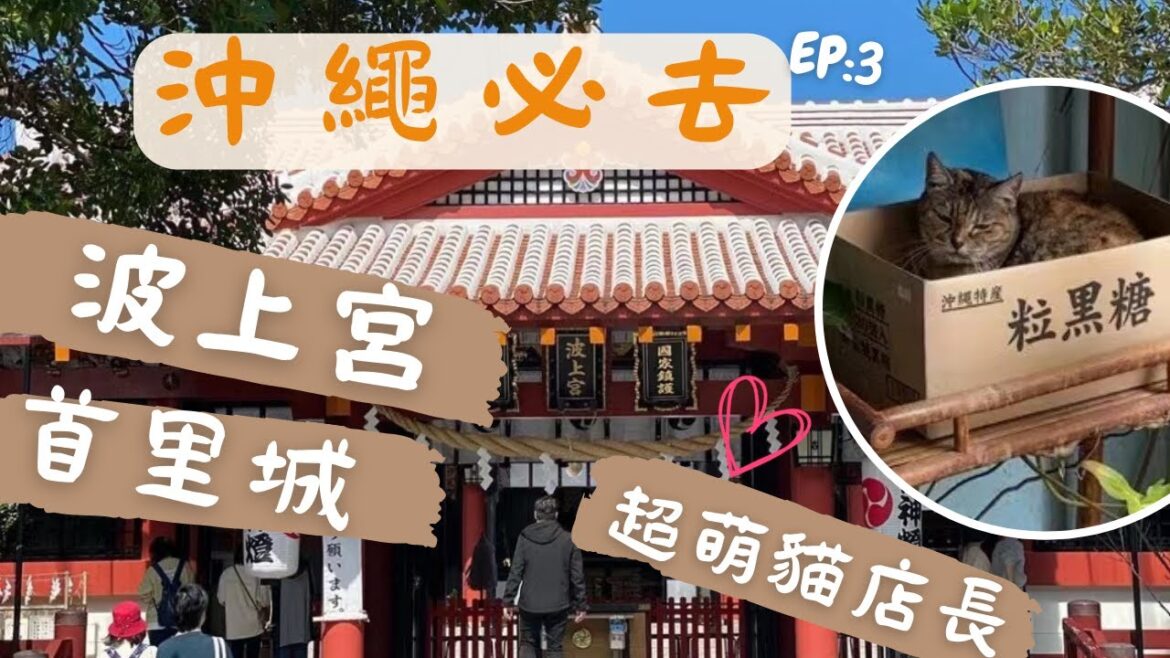 沖繩自由行『沖繩必逛2023 VLOG🇯🇵 』波上宮 ｜首里城｜國際通-萌貓店長｜沖繩鳥貴族 ｜燒肉本部牧場繩  三天兩夜沖繩自由行 ep3