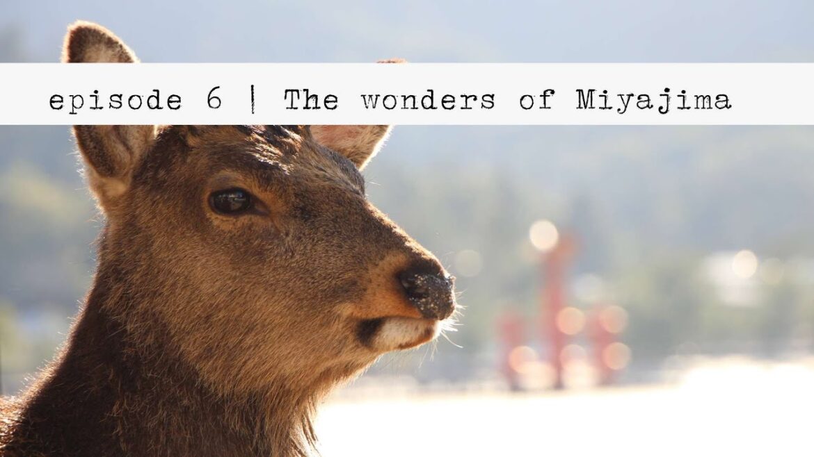 Is Miyajima Island the Most BEAUTIFUL Place on Earth?