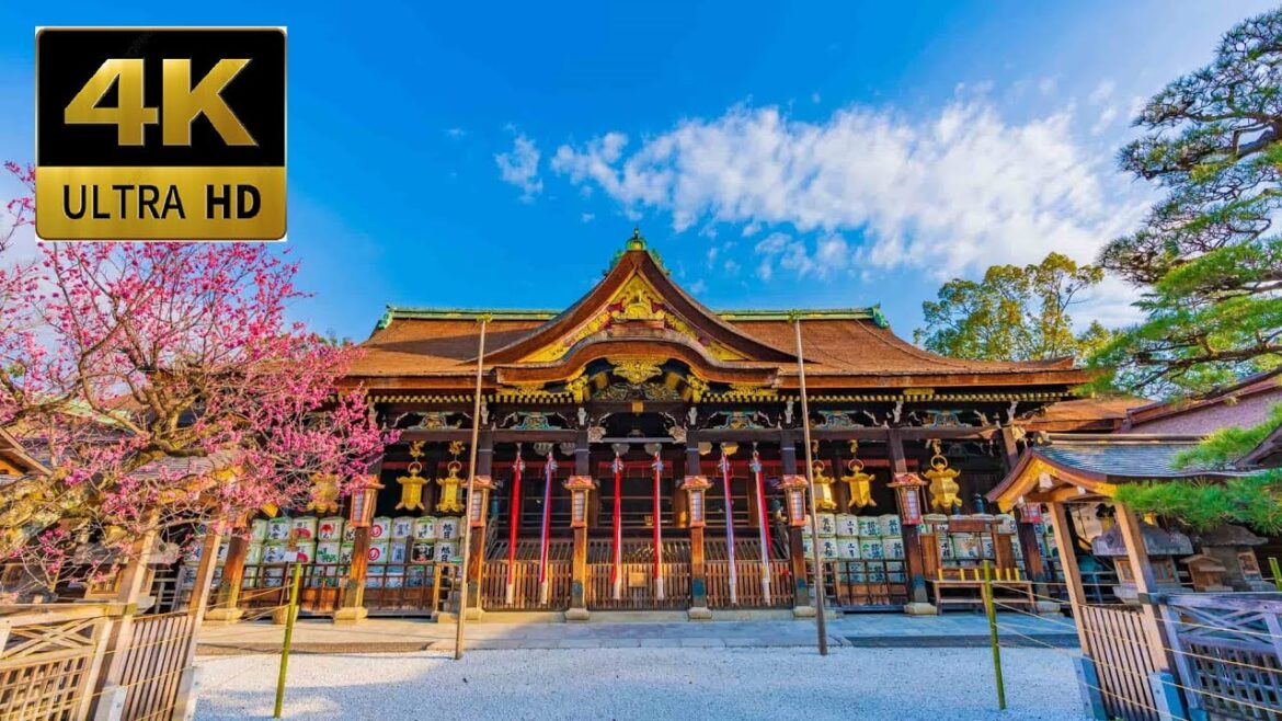 【4K HDR】 Kitano Tenmangu Shrine – Kyoto Travel – Japan Guide 【4K HDR】 Kitano Tenmangu Shrine - Kyoto Travel - Japan Guide