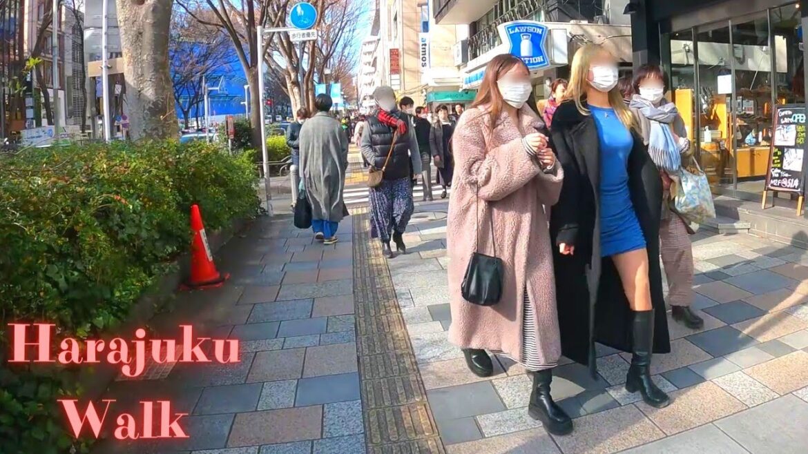 Harajuku Tokyo in Japan walking tour【4K】1.2023 Harajuku Tokyo in Japan walking tour【4K】1.2023