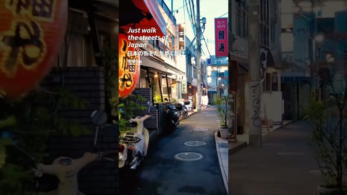 Chiba: Moto Yawata Station (本八幡駅) - Japan Walking Tour #shorts #shortsvideo