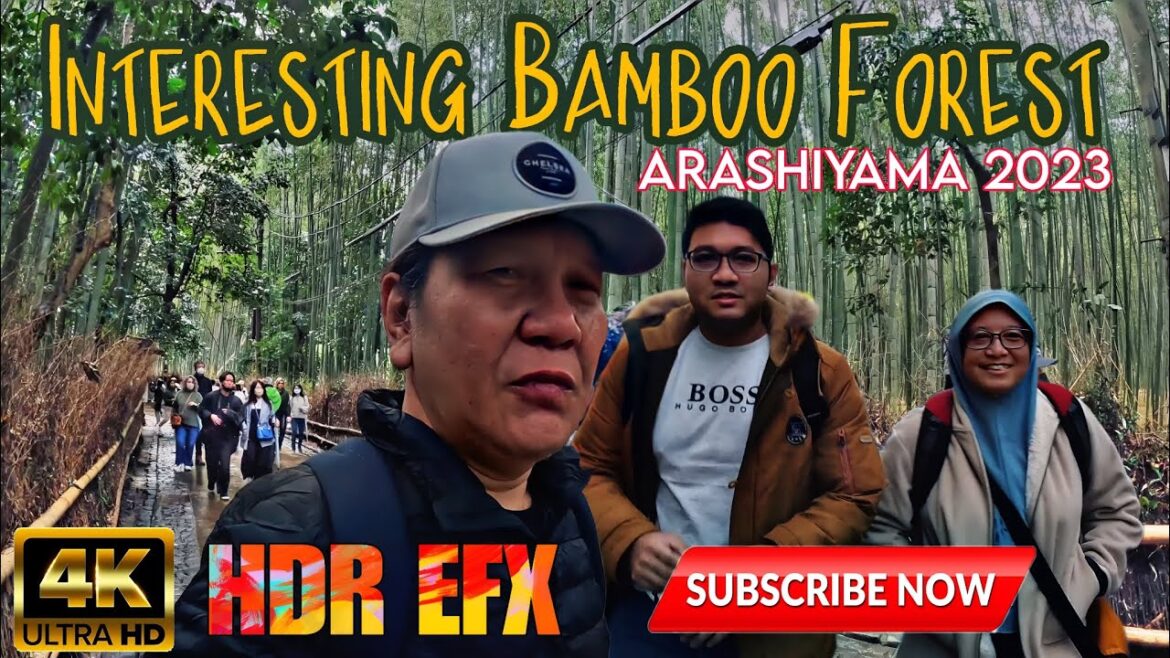 Interesting bamboo forest at Arashiyama Kyoto 2023 @haslindaarifin7278 @wanyusof9938