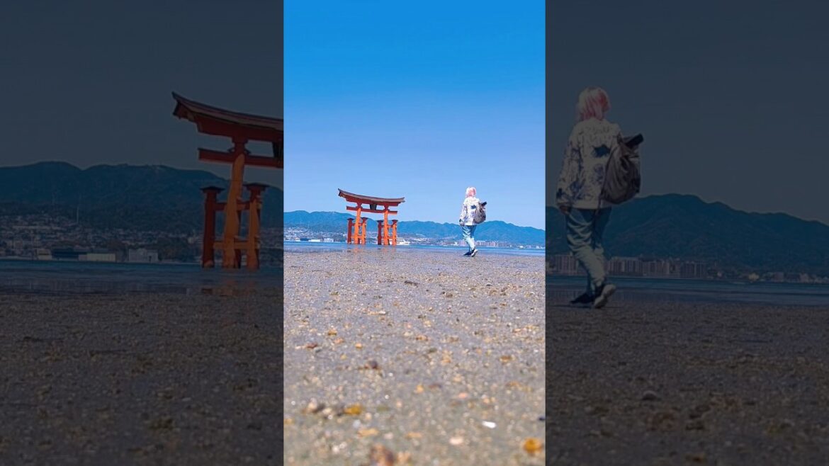 Day 5 Miyajima #japan #miyajima #japan #momiji #travel #япония #миядзима #путешествия