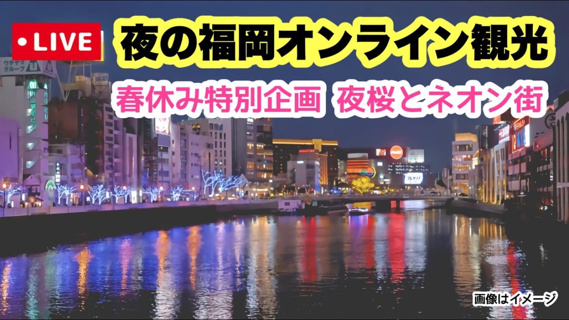 【夜桜とネオン街】夜の福岡オンライン観光 「福岡旅行情報」