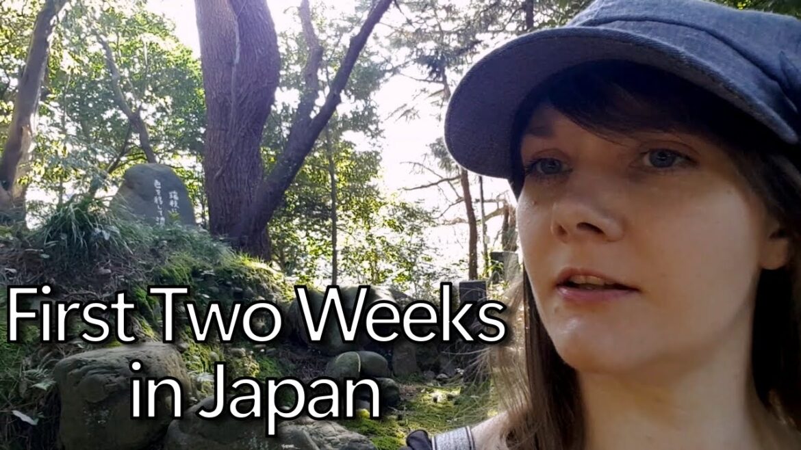 Our First Two Weeks in Japan | Three Months in Japan VLOG Our First Two Weeks in Japan | Three Months in Japan VLOG