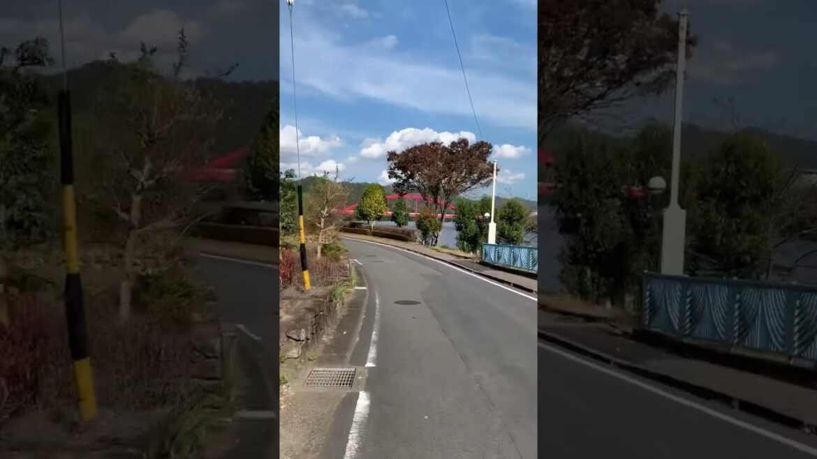 Cycling in Japan 🇯🇵 #japan #travelinjapan #cycling #cyclinglife