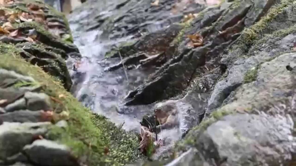 狩野川PV「狩野川ストーリー」