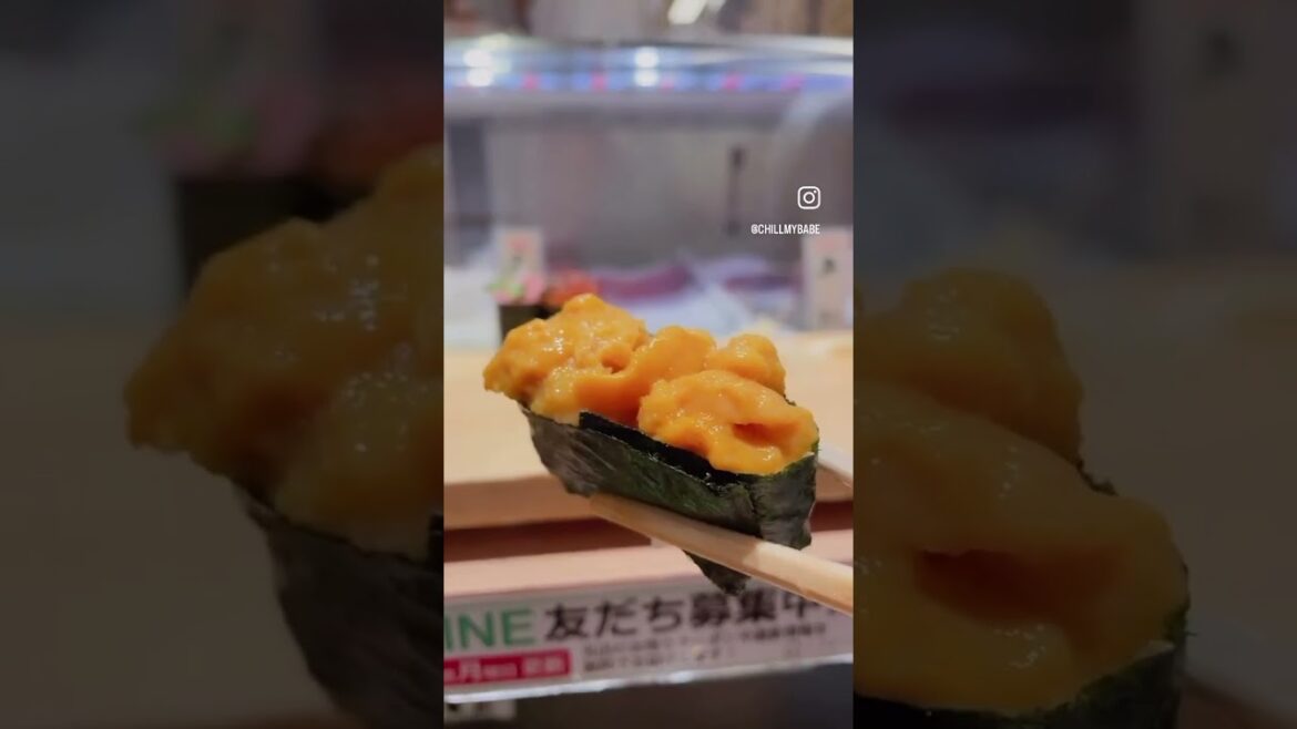 【#思思賢嘆世界】#Honeymoon🍣#Sushi night #shorts #japanesefood #japan #traveler #asmr  #tiktok #food #foodie