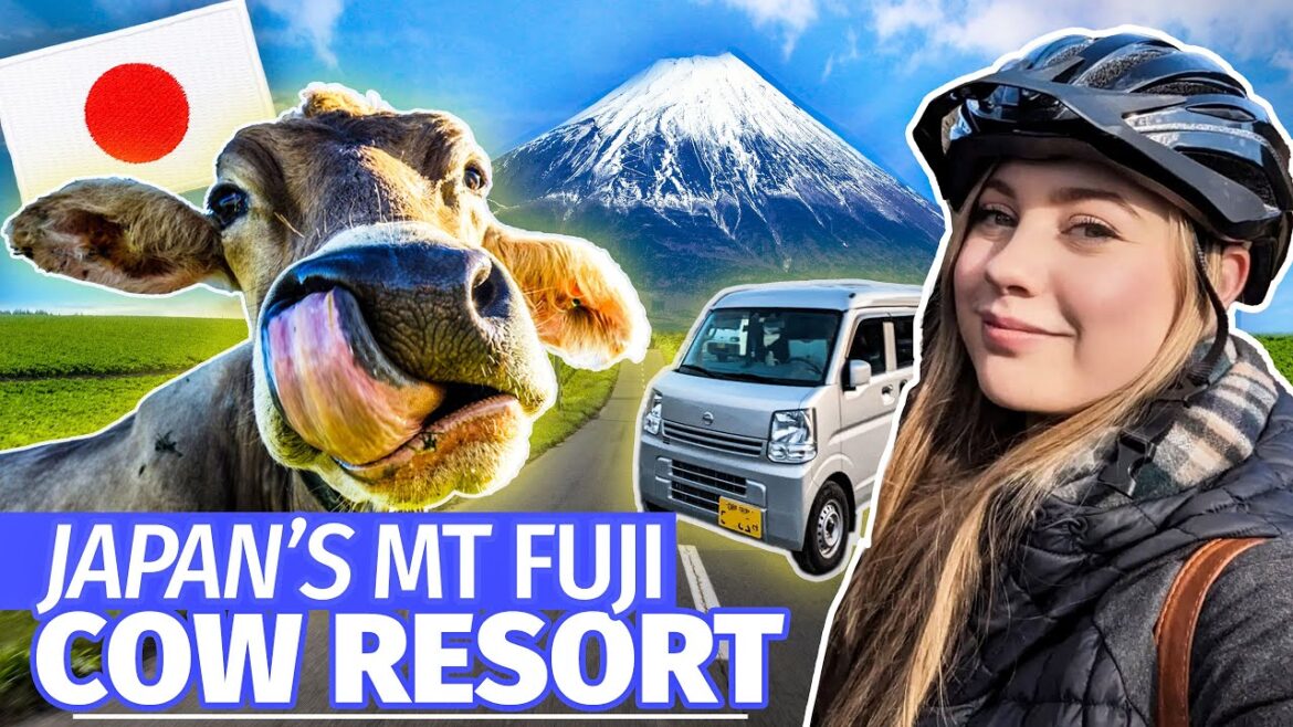 WOULD YOU stay at this Campsite IN JAPAN? Mount Fuji Vanlife