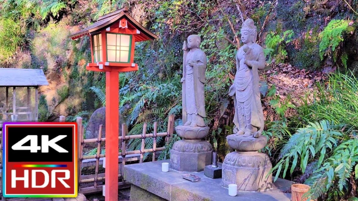 Todoroki Valley Park Tokyo, Japan Walking Tour 🌳 Todoroki Valley Park Tokyo, Japan Walking Tour 🌳