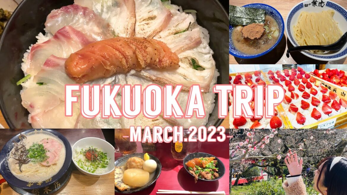 【福岡Vlog】博多・太宰府で福岡グルメ満喫旅行🍽｜絶品博多ラーメン🍜｜めん鯛まぶし｜大宰府天満宮食べ歩き｜もつ鍋｜博多屋台居酒屋｜