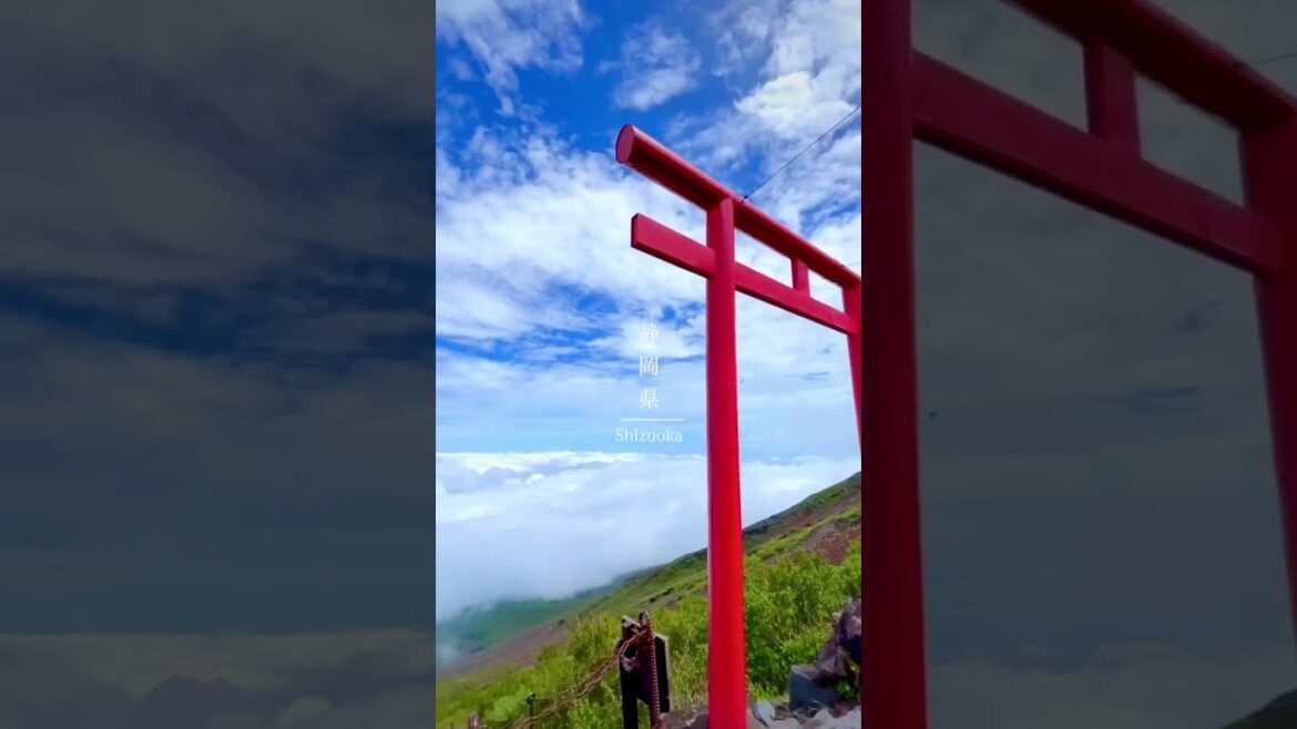 My Favorite places in Japan π―π΅ #japan #kyoto #tokyo #short #shorts #monde #shortsfeed #travel My Favorite places in Japan π―π΅ #japan #kyoto #tokyo #short #shorts #monde #shortsfeed #travel