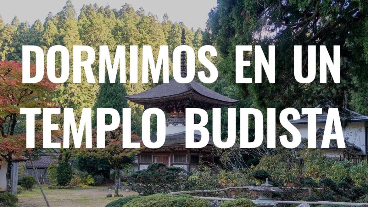 ¿Merece la pena DORMIR en un TEMPLO BUDISTA en JAPÓN? 🤔🇯🇵|| Comiviajeros.com🌍 ¿Merece la pena DORMIR en un TEMPLO BUDISTA en JAPÓN? 🤔🇯🇵|| Comiviajeros.com🌍