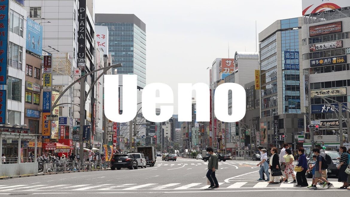 Ueno, Tokyo, Japan, 上野 - Canon 80D - Virtual Trip