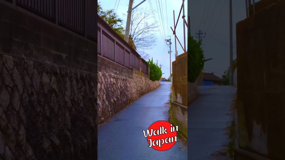 Quiet Japanese Steet #japan #shortsvideo #shorts