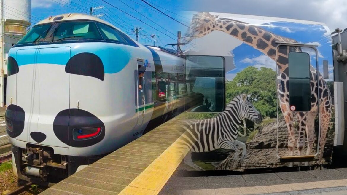 【特急パンダくろしお】絶景車窓を楽しめるおすすめの座席はどこ?絶景区間を大紹介! 【特急パンダくろしお】絶景車窓を楽しめるおすすめの座席はどこ?絶景区間を大紹介!