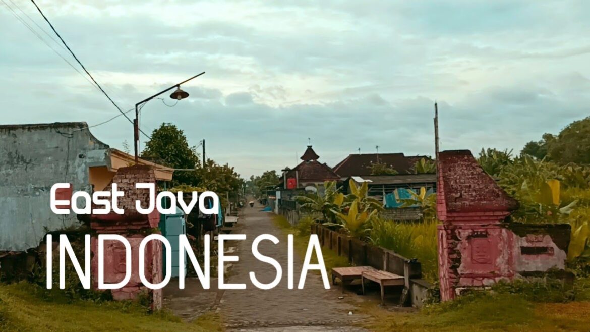 Cycling Around the Village | Enjoying the Natural Beauty of Indonesian Rural | Day 111 Cycling Around the Village | Enjoying the Natural Beauty of Indonesian Rural | Day 111