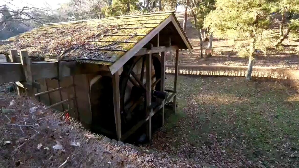 【Live】 Walk at village of Boso