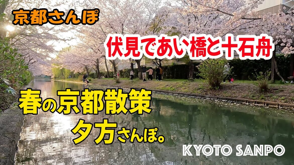 [京都お散歩4K] 2023/3/30 春の京都を散策 伏見であい橋と十石舟　夕方の伏見中書島近辺をお花見さんぽ。kyoto