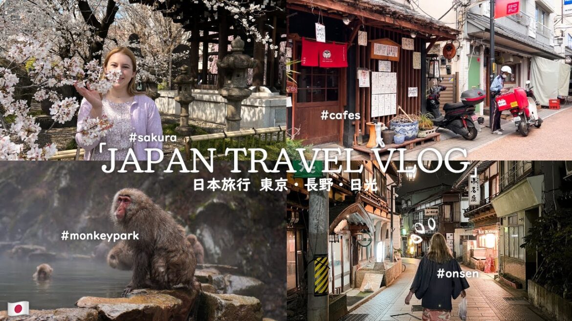 japan vlog โ๏ธ tokyo cherry blossoms, ghibli onsen town, hiking to monkeys, + cafe hopping ๐ japan vlog โ๏ธ tokyo cherry blossoms, ghibli onsen town, hiking to monkeys, + cafe hopping ๐