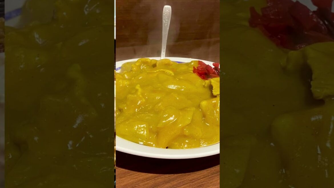 🇯🇵新潟 旅行 冬 遊日本🇯🇵