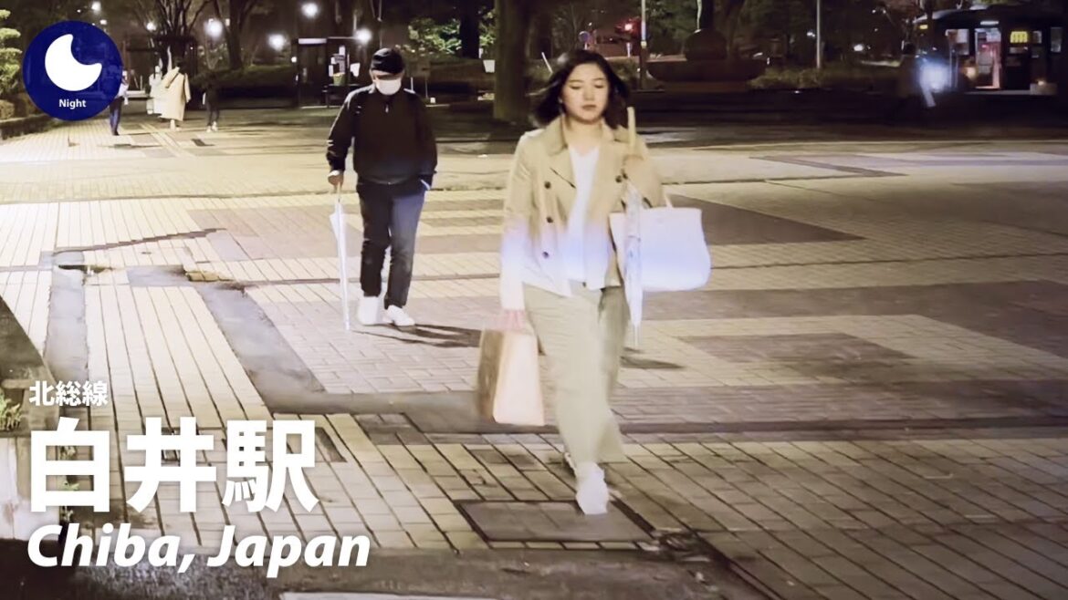 ⁴ᴷ Chiba: Shiroi Station (白井駅) – Japan Walking Tour (March, 2023) ⁴ᴷ Chiba: Shiroi Station (白井駅) - Japan Walking Tour (March, 2023)