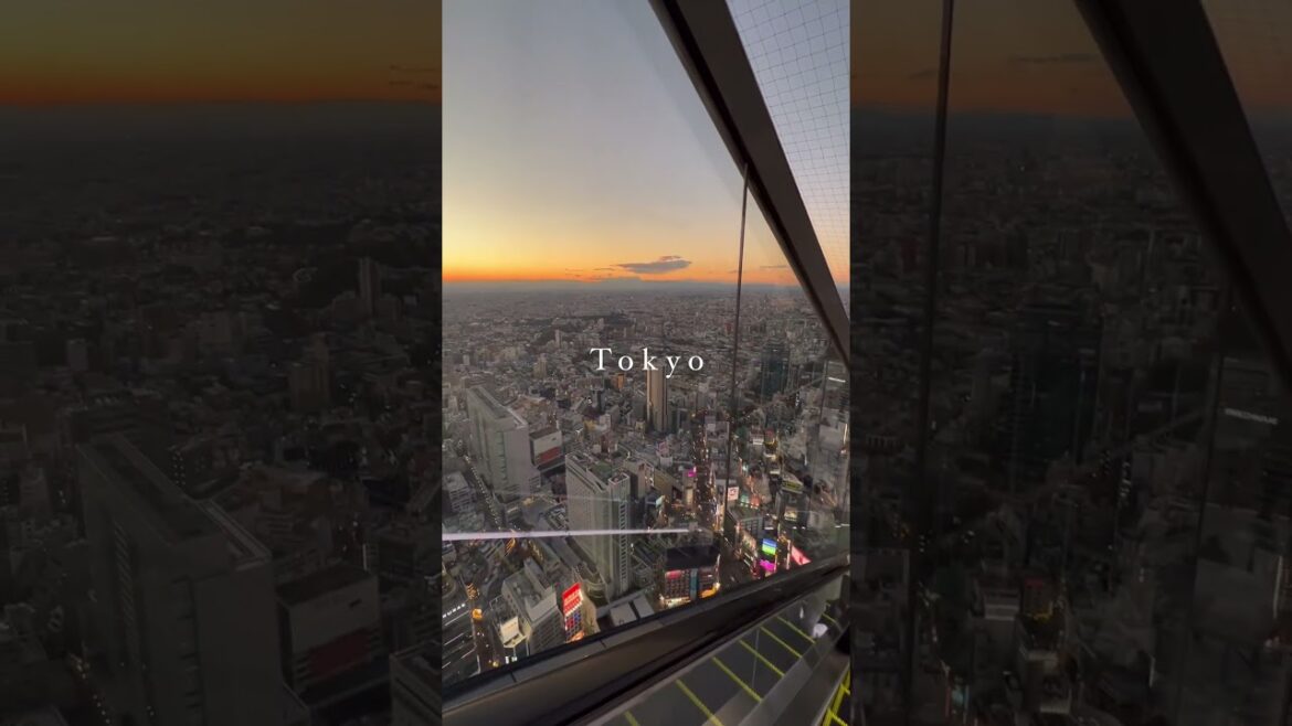 Shibuya sky, Tokyo.. #shorts #tokyo #japan #mrbeast #pewdiepie #mkbhd #travel #gaming #funny #viral