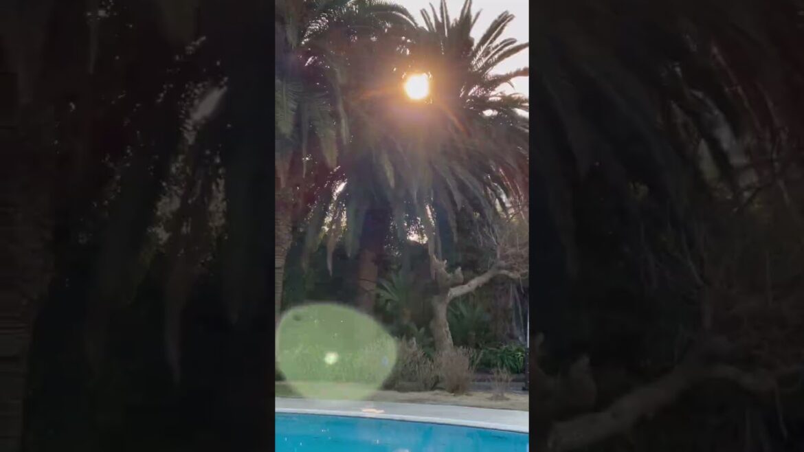 Sunset beach in Japan #shorts