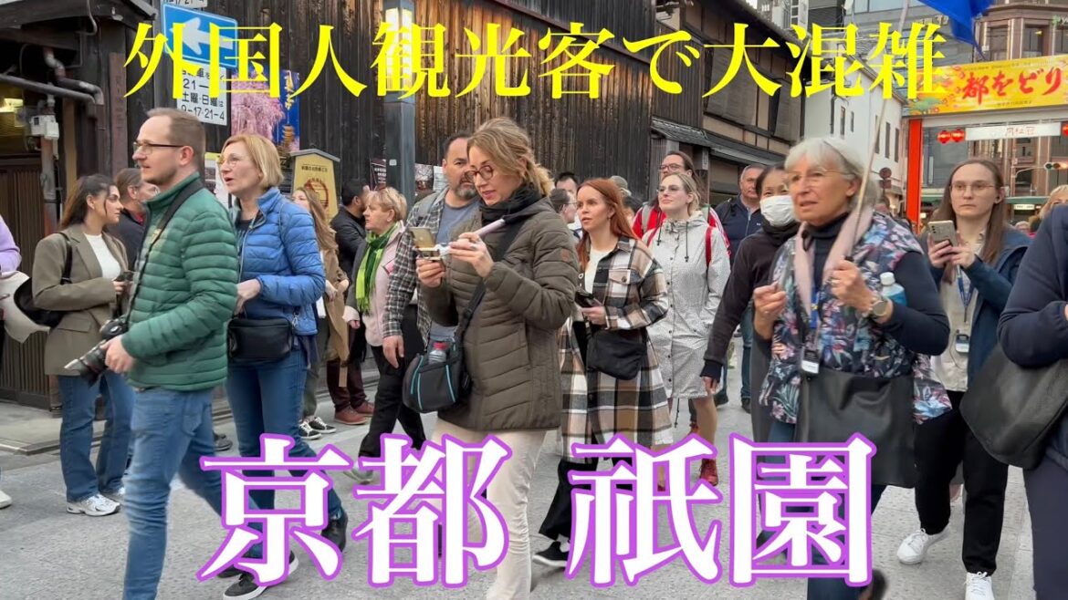2023年3月20日 京都外国人観光客で大混雑の祇園を歩く Walking around Gion,Kyoto 【4K】