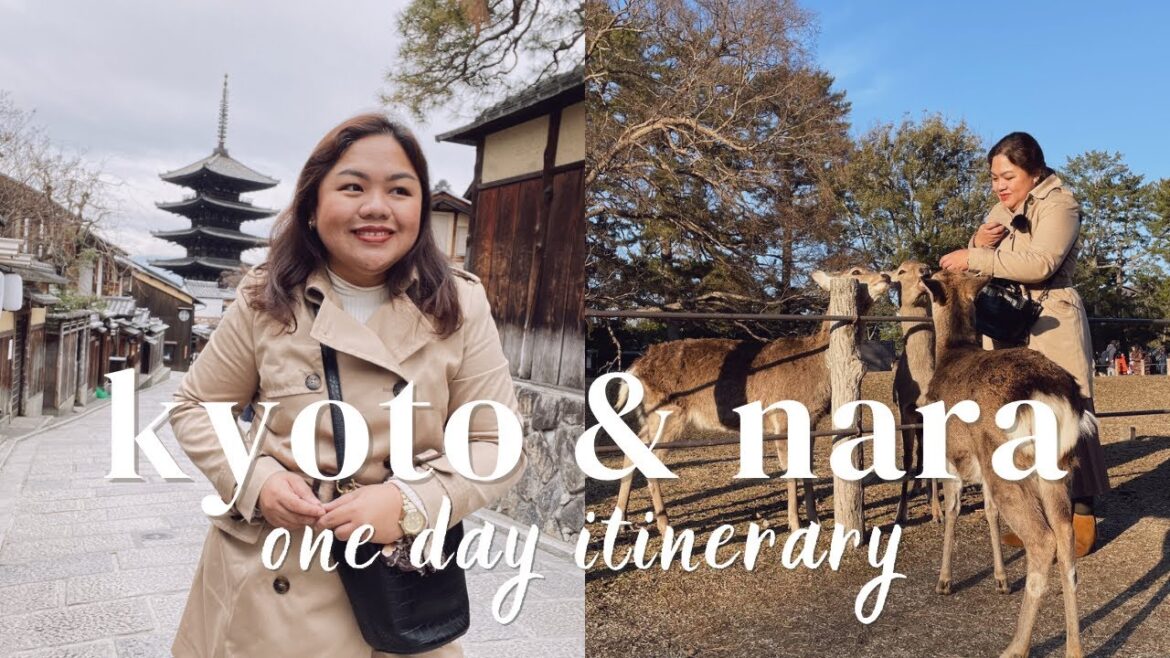 Japan vlog: Kyoto & Nara one-day itinerary + best Tonkatsu + fastest mochi pounders | @mommamyramay