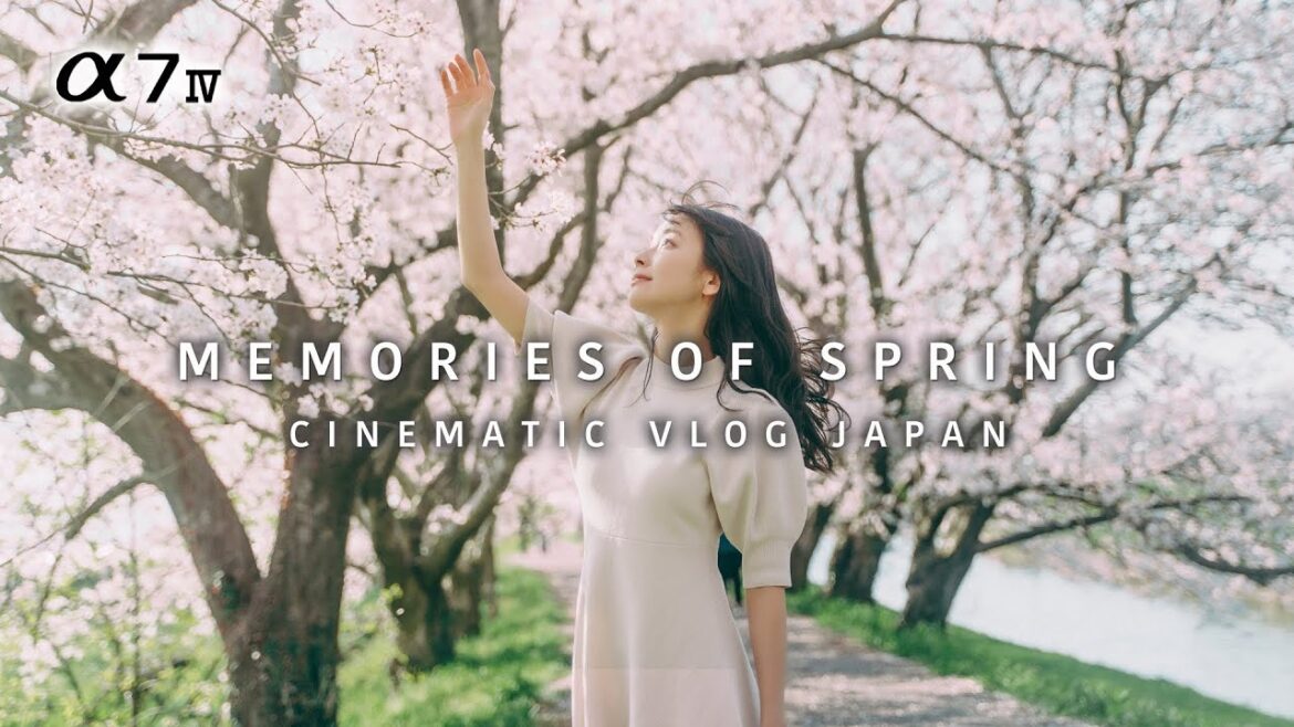 MEMORIES OF SPRING 2023 | Cinematic Vlog Shot on Sony α7IV with G Master & G lenses MEMORIES OF SPRING 2023 | Cinematic Vlog Shot on Sony α7IV with G Master & G lenses