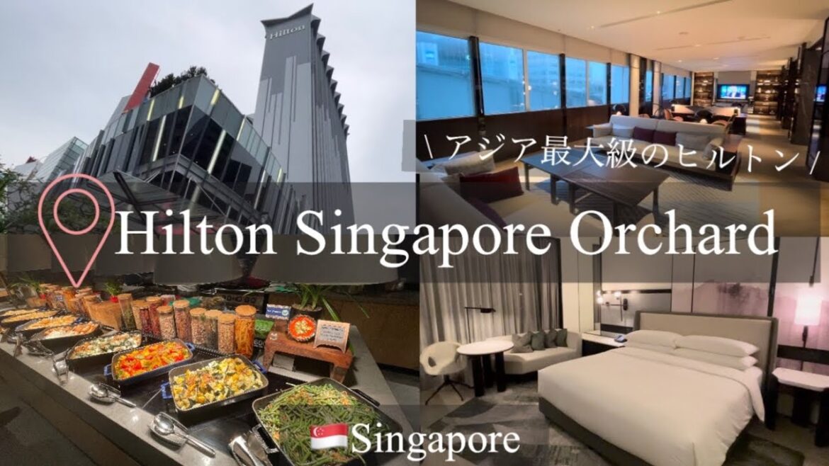 〔弾丸海外旅行 #4〕アジア最大級!新しいヒルトンシンガポールオーチャードに宿泊🏨 | 新卒OLの休日 | エグゼクティブラウンジ 🍸 〔弾丸海外旅行 #4〕アジア最大級!新しいヒルトンシンガポールオーチャードに宿泊🏨 | 新卒OLの休日 | エグゼクティブラウンジ 🍸