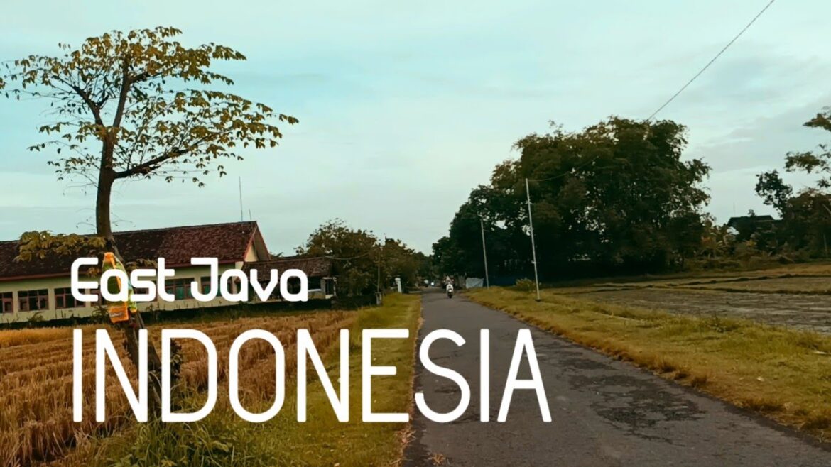 Cycling Around the Village | Enjoying the Natural Beauty of Indonesian Rural | Day 110