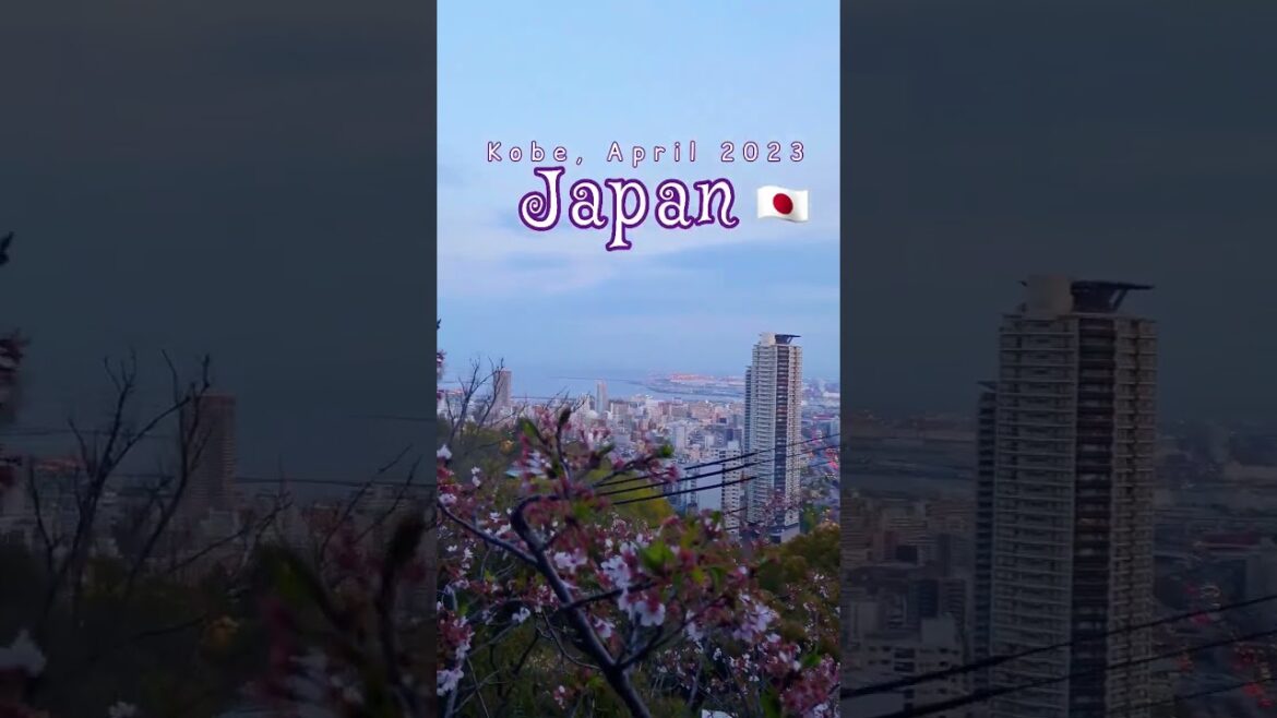 Japan | Most Perfect County in Asia