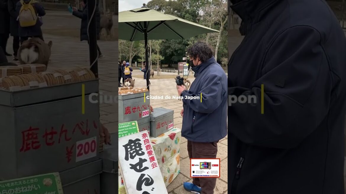 Me mordió el tracero un venado.