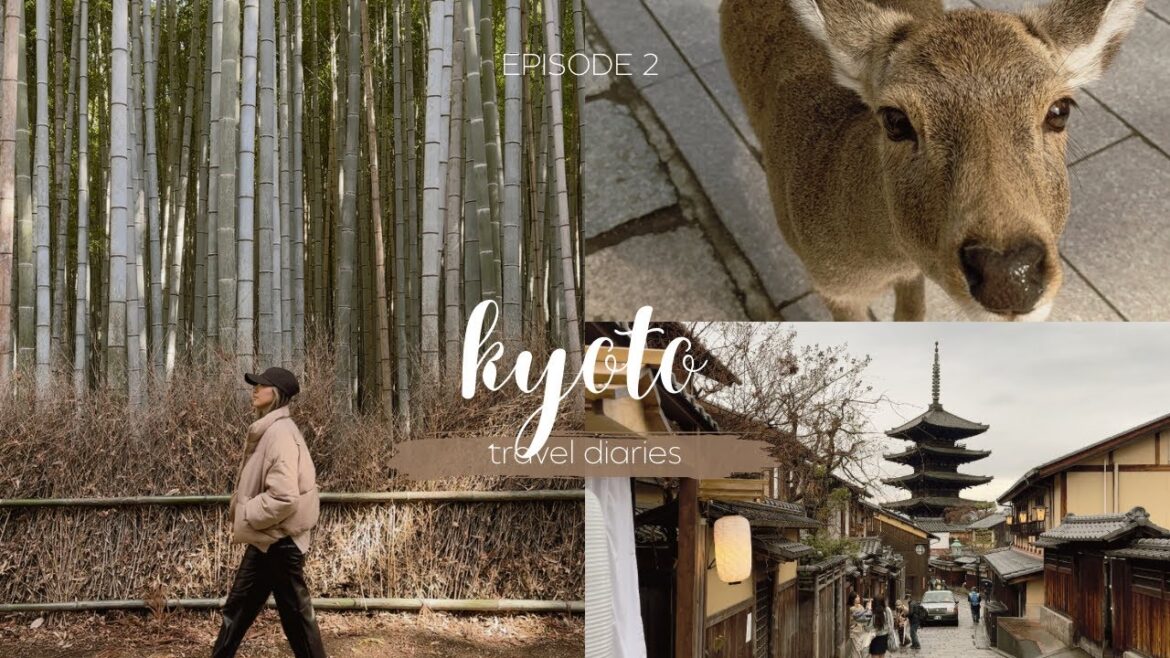 kyoto 🇯🇵 | ep. 2 - shinkansen, gion district, nishiki market, tōdai-ji temple, nara, arashiyama