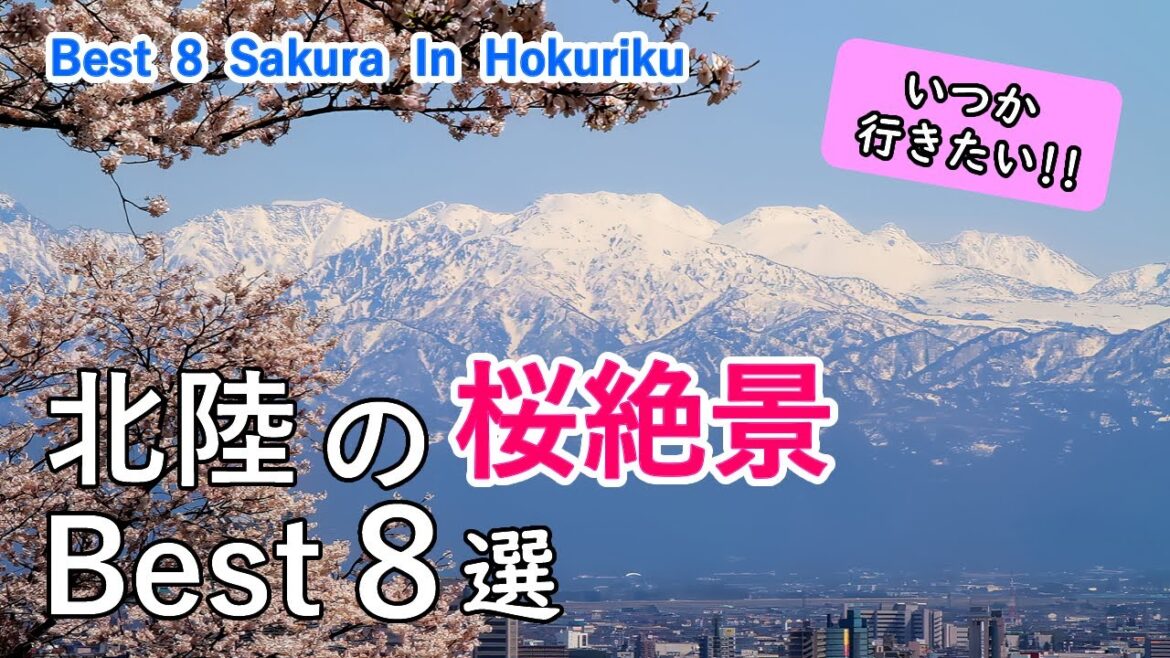 北陸の桜絶景ベスト8選 / 呉羽山・富山城・松川公園・高岡古城公園・兼六園・金沢城・足羽山・足羽川 / Best 8 Cherry Blossom in Hokuriku, Japan 北陸の桜絶景ベスト8選 / 呉羽山・富山城・松川公園・高岡古城公園・兼六園・金沢城・足羽山・足羽川 / Best 8 Cherry Blossom in Hokuriku, Japan