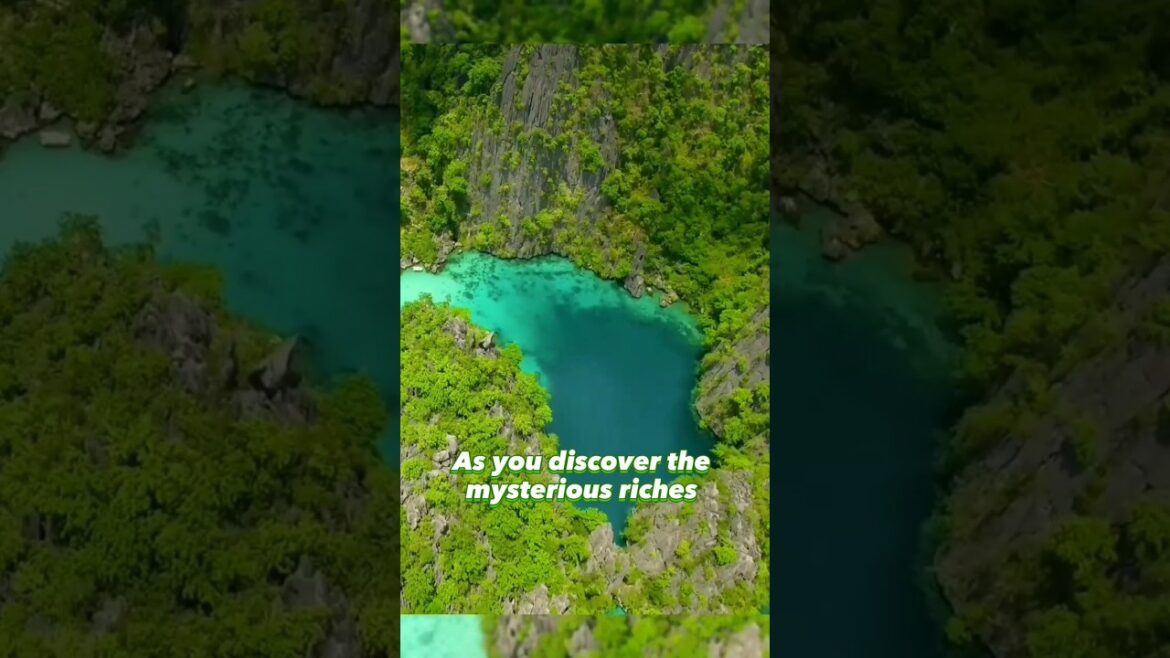 Coron Palawan Philippines #shorts #travel Coron Palawan Philippines #shorts #travel