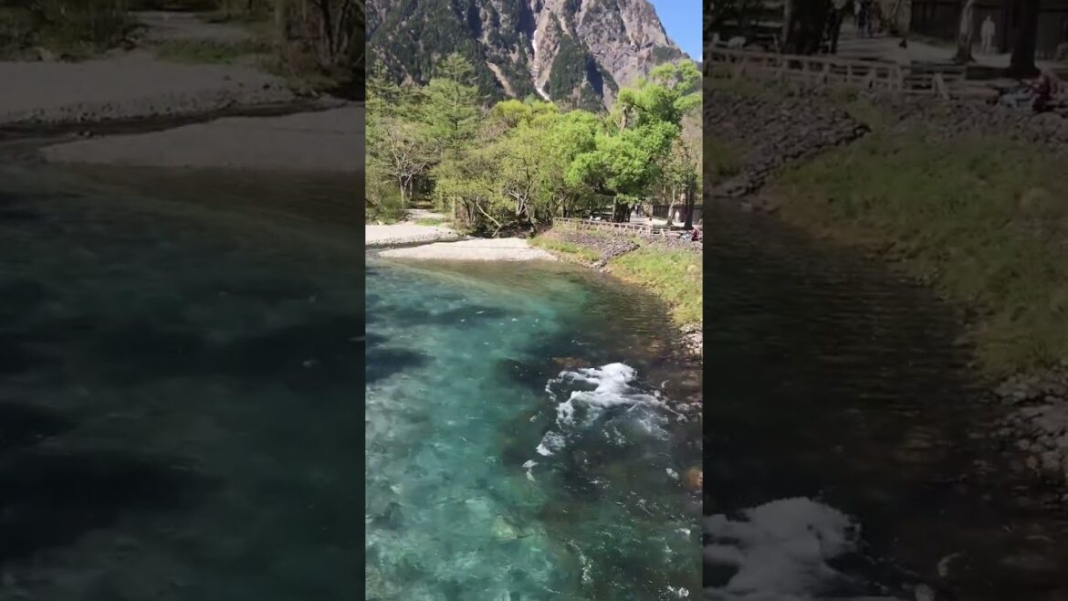 【長野・上高地】ゆらり流れる川と車窓から。 #shorts