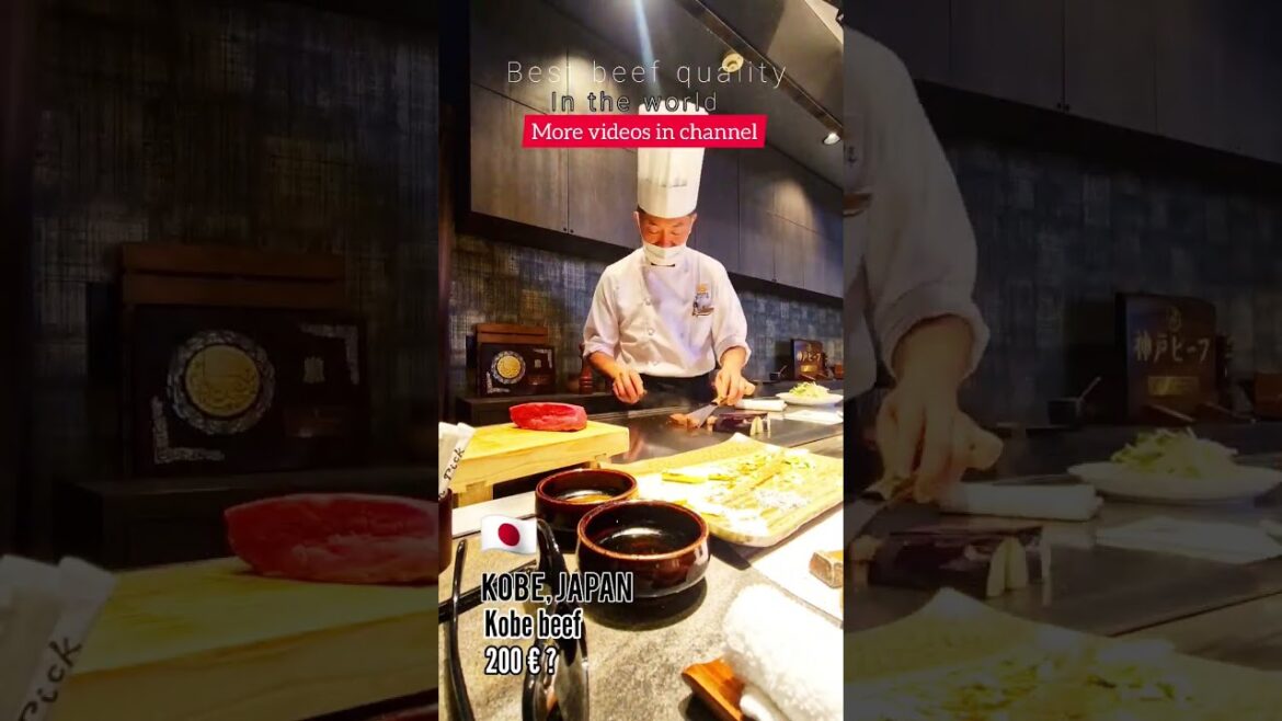 most expensive beef in the world?! kobe beef, japan most expensive beef in the world?! kobe beef, japan