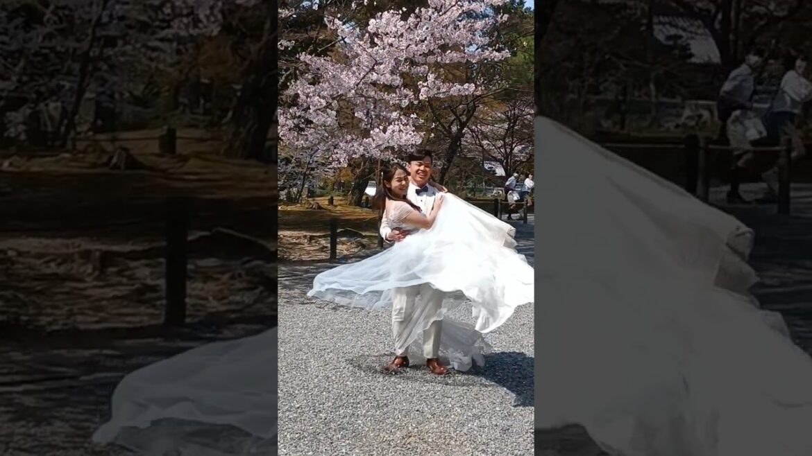 Japan, Kyoto, Wedding Posing.