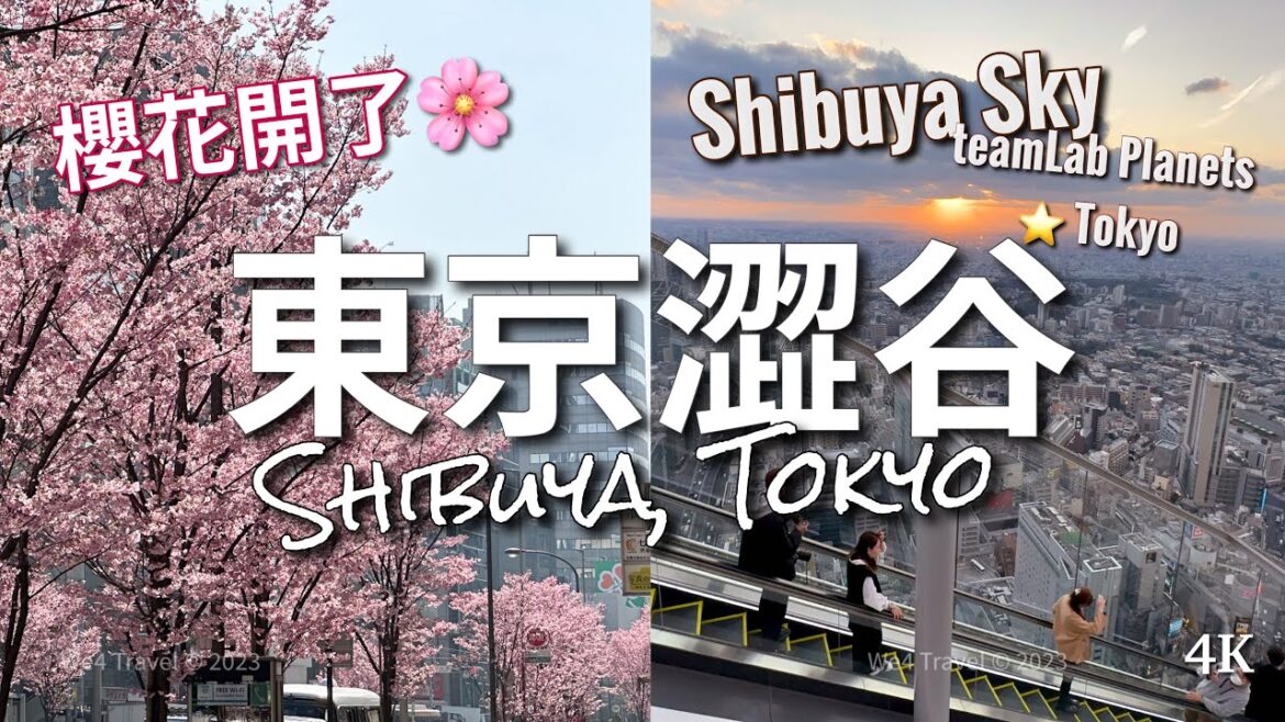 【東京自由行】澀谷天空．SHIBUYA SKY 展望台｜360度欣賞東京絕美日落 // teamLab Planet Tokyo 櫻花季限定｜日本旅行Vlog 2023