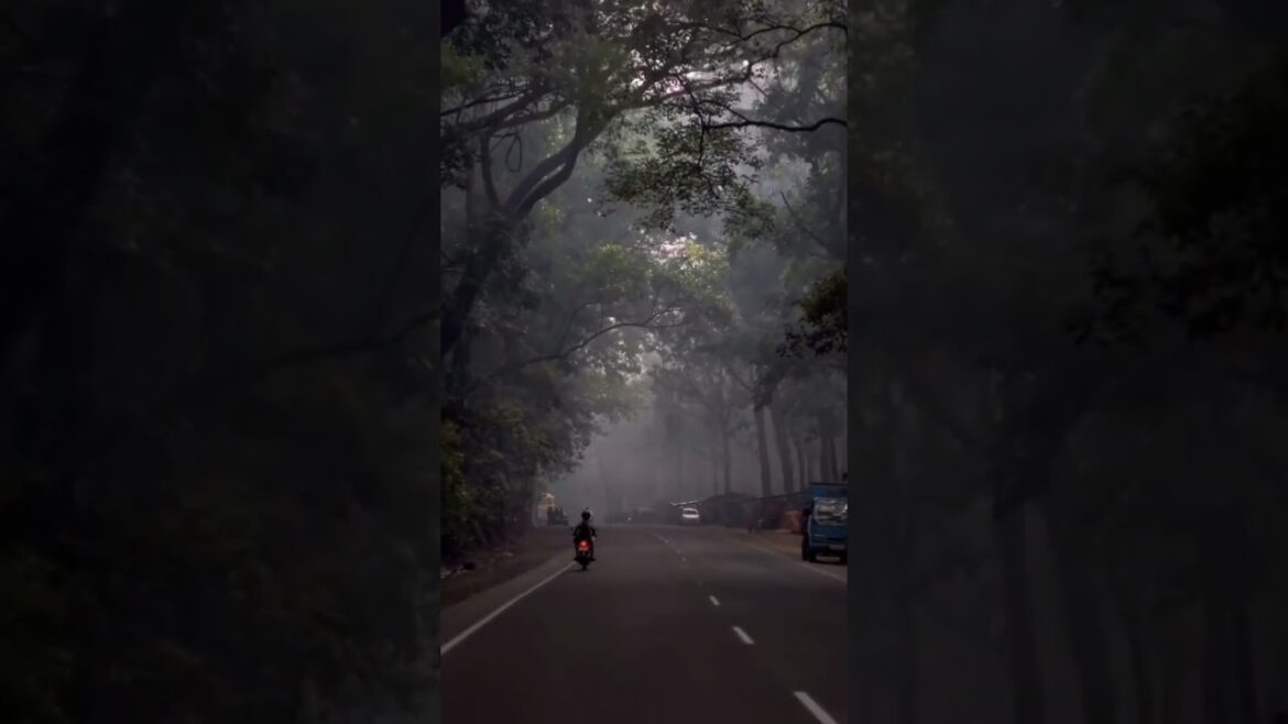 #shorts The Best 💕🤟💕💚 wellcome To  Sri Lanka' 🛑#youtubeshorts 💕🤟 #vairal 🌍Travel world