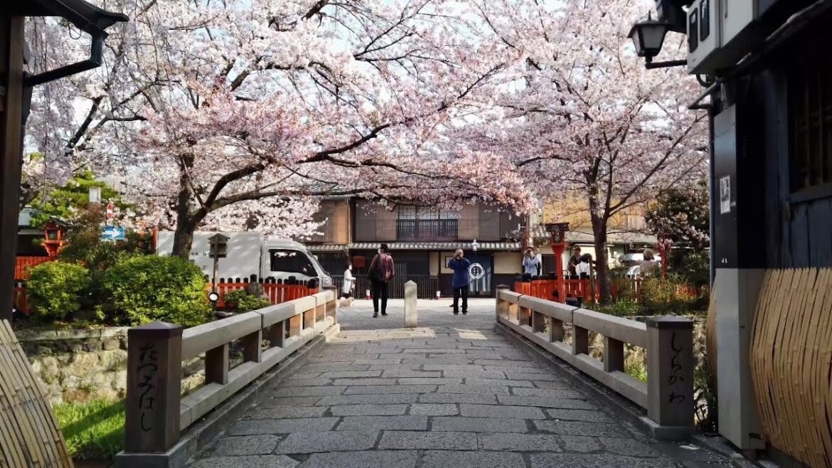 23年4月2日 早朝の桜風景と京都を歩く 知恩院,円山公園,八坂神社,祇園 Walk around Kyoto city,Japan vlog 23年4月2日 早朝の桜風景と京都を歩く 知恩院,円山公園,八坂神社,祇園 Walk around Kyoto city,Japan vlog